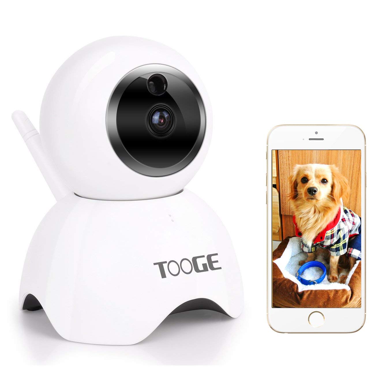 Motion sensor hot sale pet camera